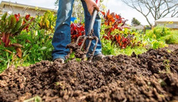 Meet Food Waste Champion Tracey Lee (1)