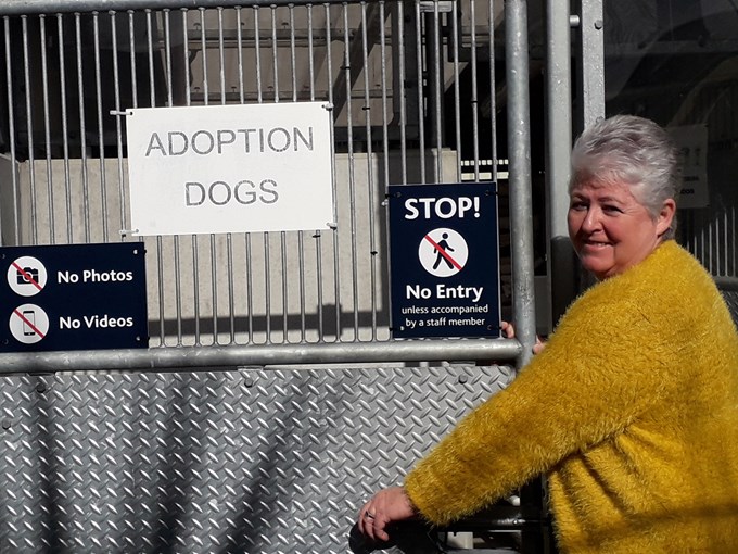 Behind the scenes: no shortage of love at Auckland's animal shelters (1)