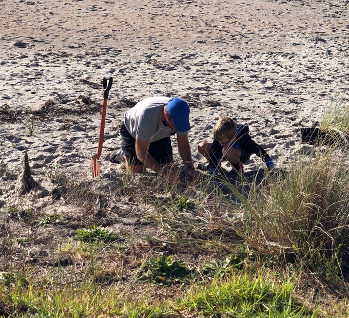 Waiheke beach restorations underway
