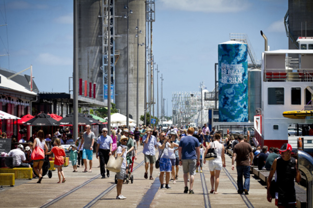 Auckland scorecard up 19 per cent