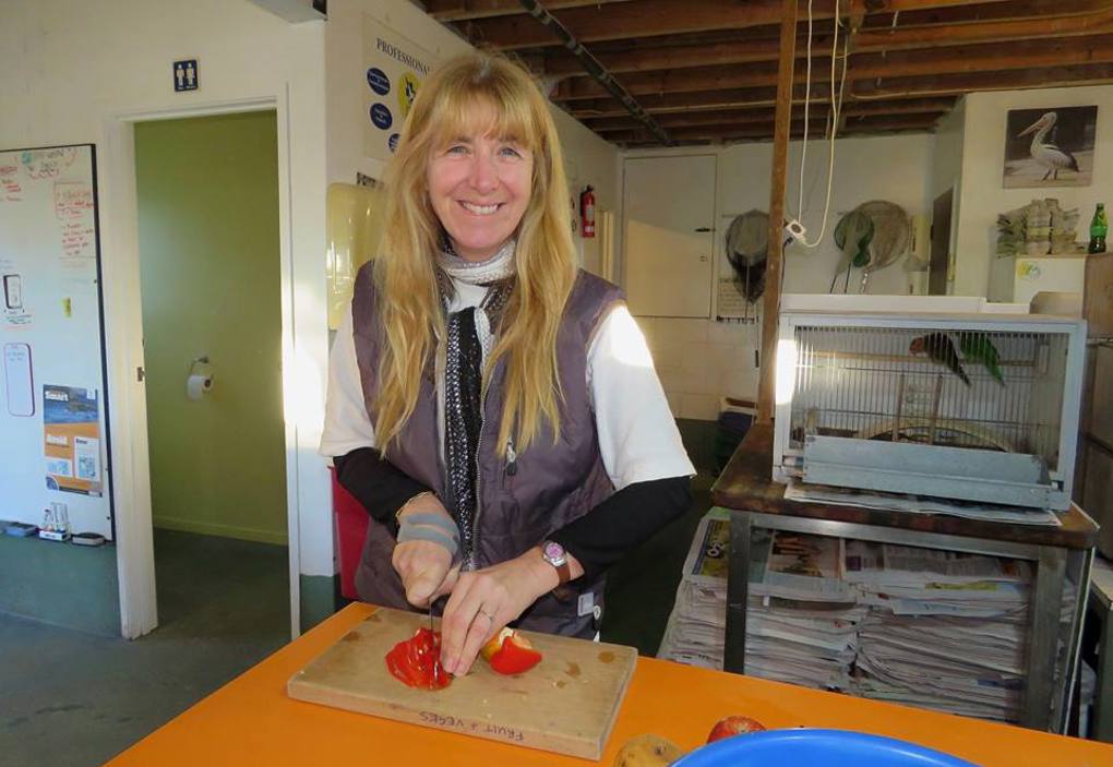 NZ Bird Rescue Charitable Trust 2
