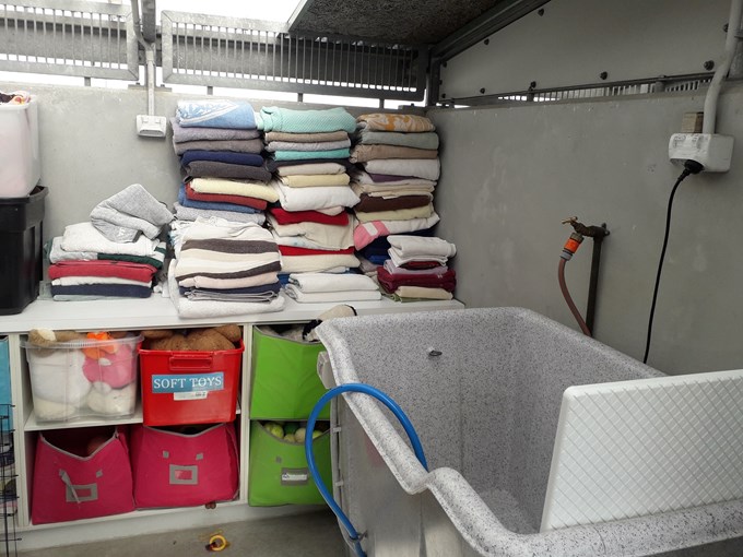 Behind the scenes: no shortage of love at Auckland's animal shelters (2)