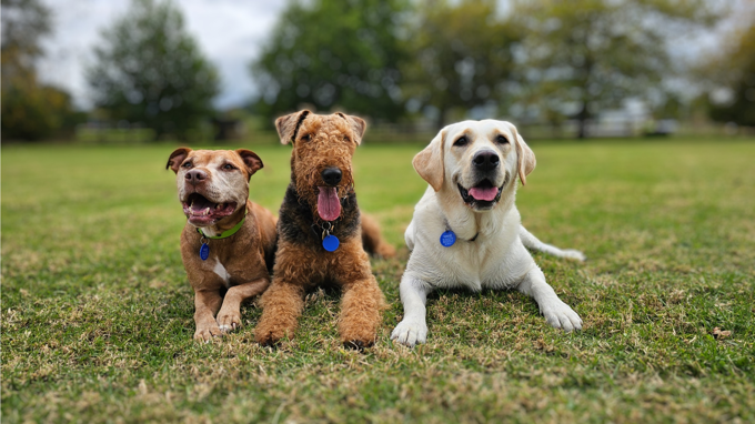 Email Campaign Header Picture