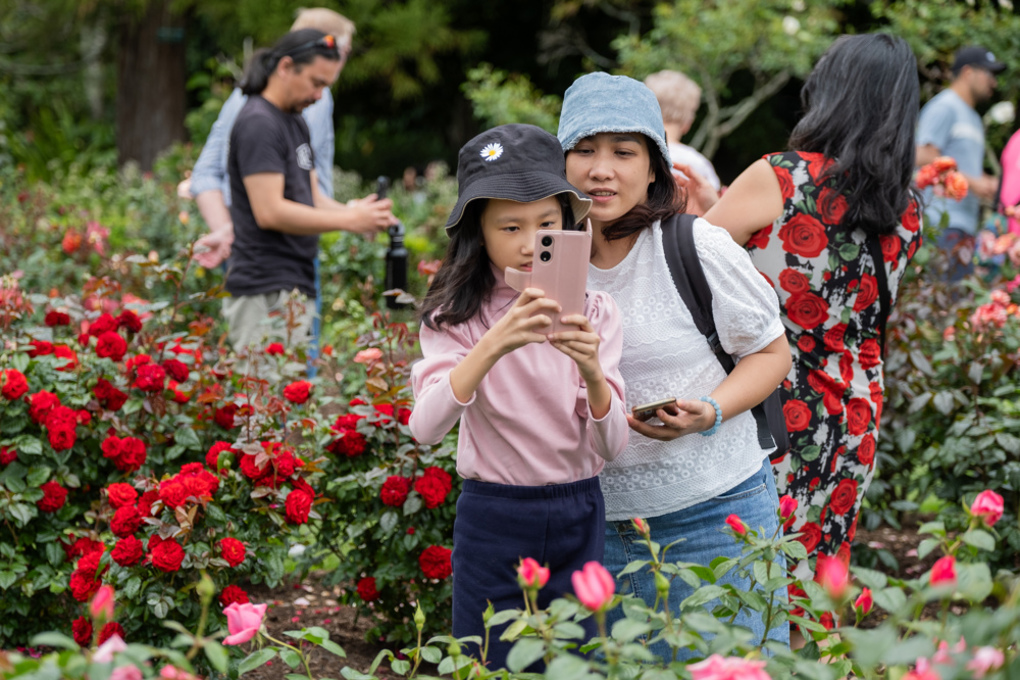 Parnell Festival of Roses image 6