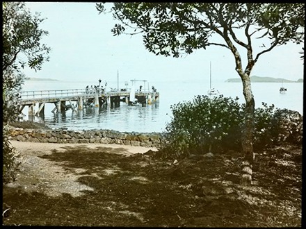 Sub 46 Rangitoto Bach Museum Open Day