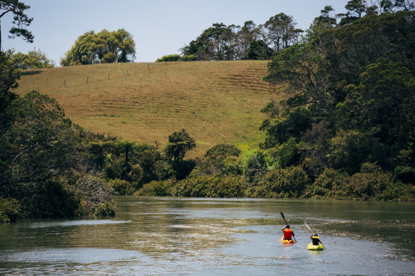 Best kayaking spots for beginners OurAuckland