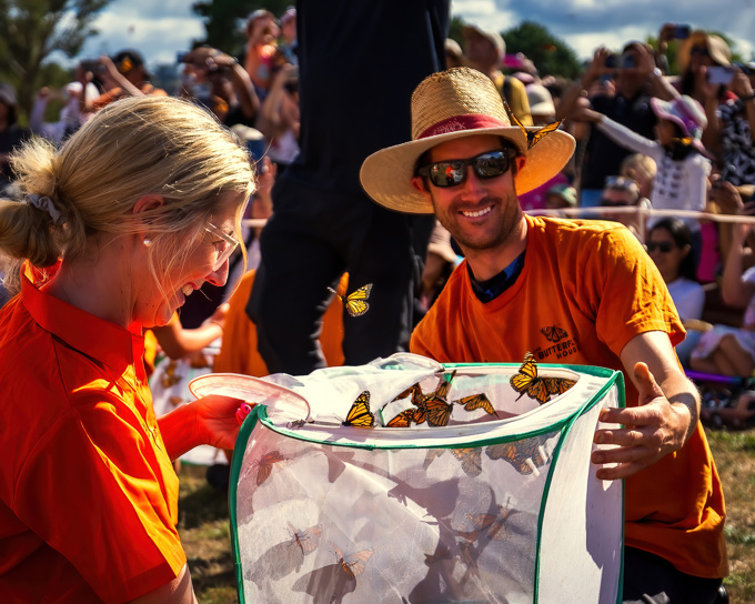 Butterfly release 2_odt4aae0.jpg