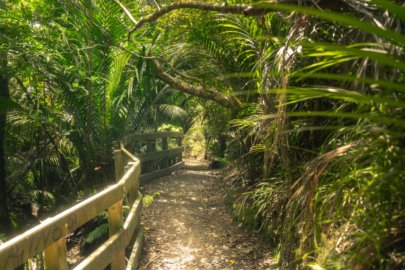 Dingle Dell walkway.