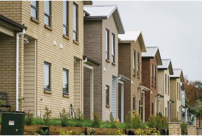 Auckland housing