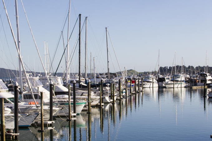 Howick transport projects funded in 10-year budget