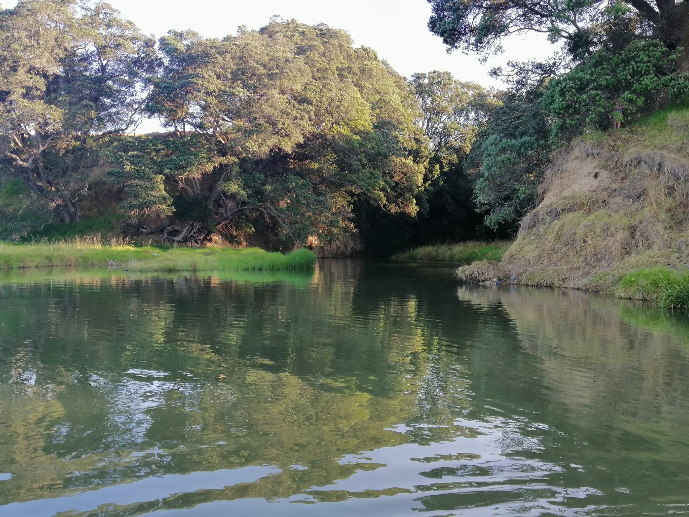Cool off in the freshwater lagoon at Tāpapakanga Regional Park.