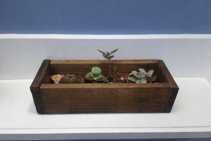 planter1_ty43w1db.jpg
