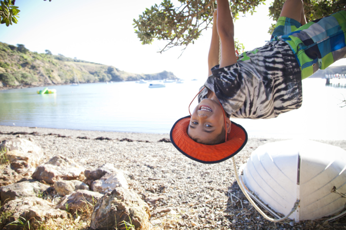 Spotlight on Waiheke