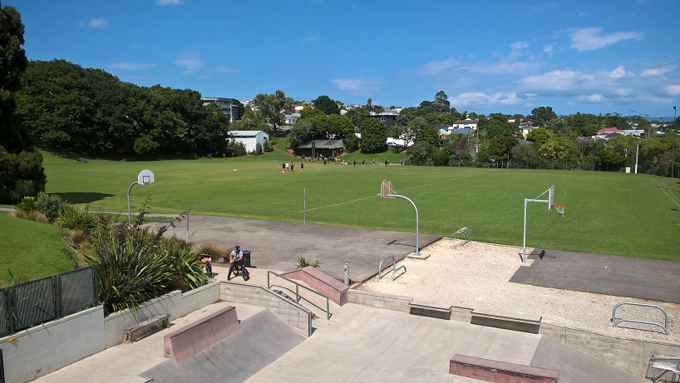 Nixon Park upgrade on track
