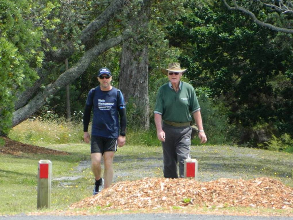 Walk Waikumete (10)