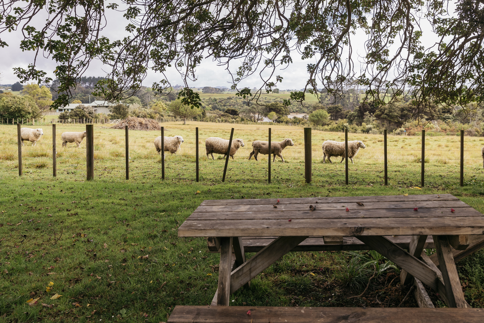 A table by some sheep.
