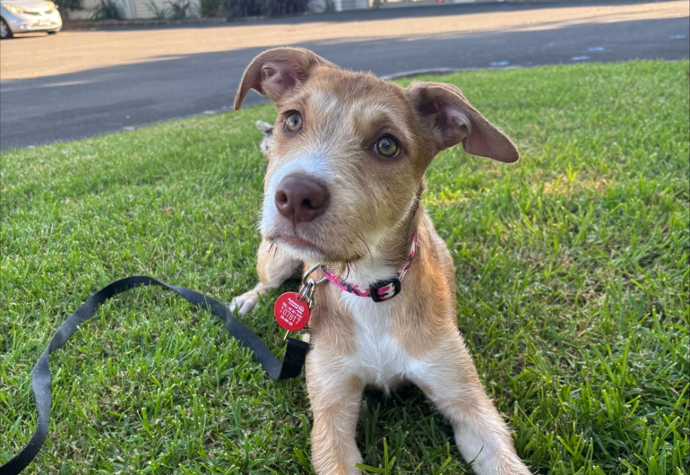 Processed 5D894CE6 70FA 4492 909E 6B88C7193643