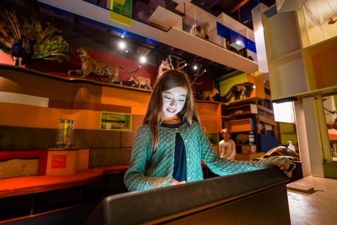 Auckland Museum kids room