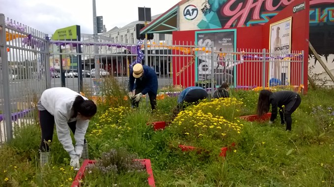 Local community creating a green oasis.jpg