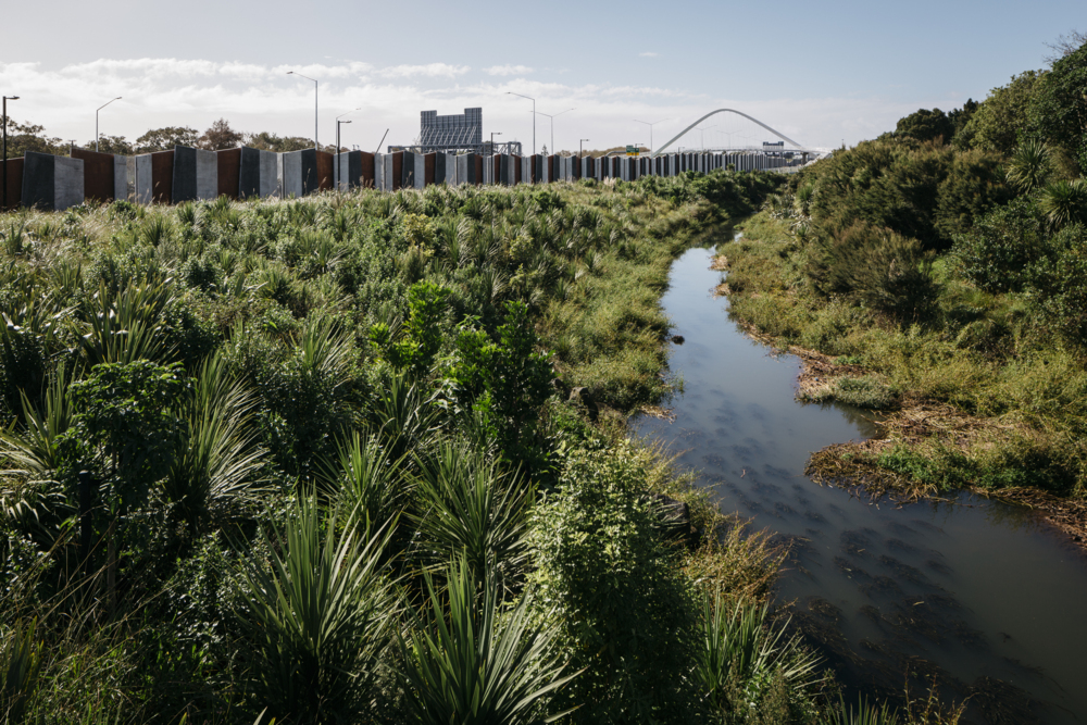 A planted area and stormwater stream beside the motorway in South Auckland.