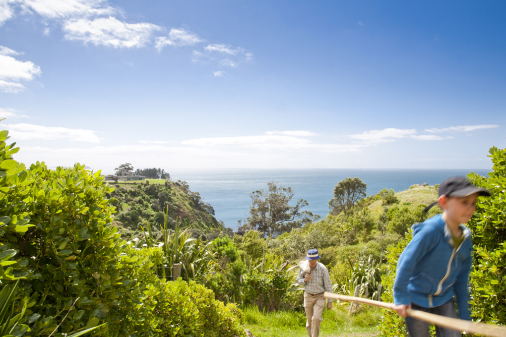 Spotlight on Waiheke 2