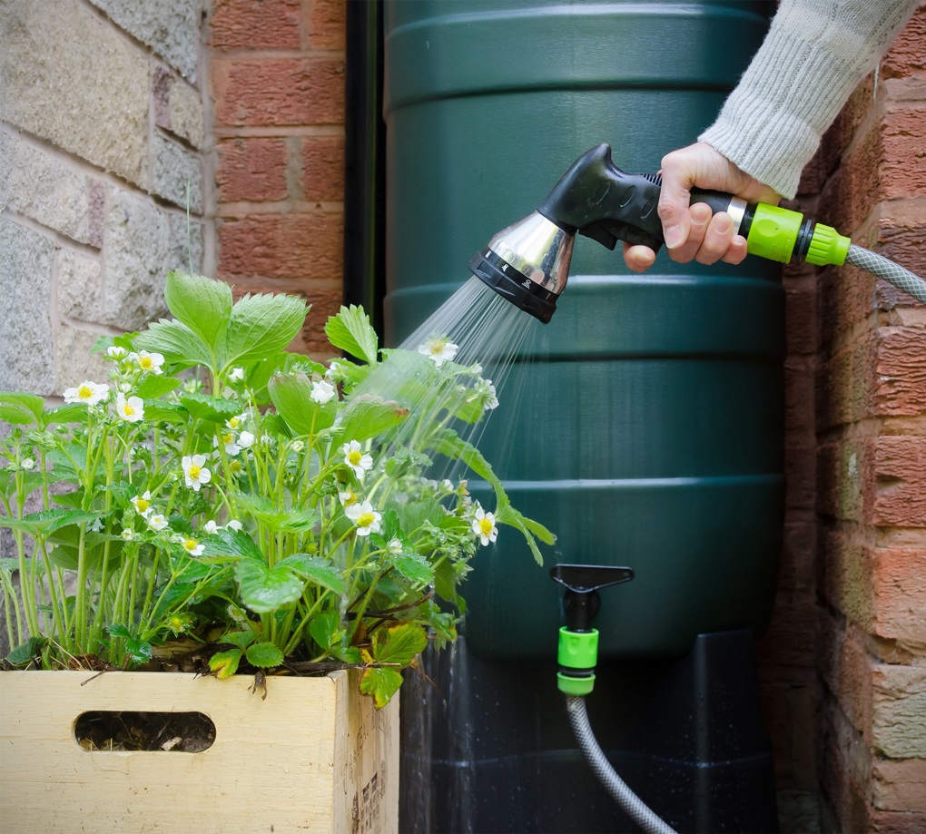 Council makes it easier for Aucklanders to collect rainwater (2)