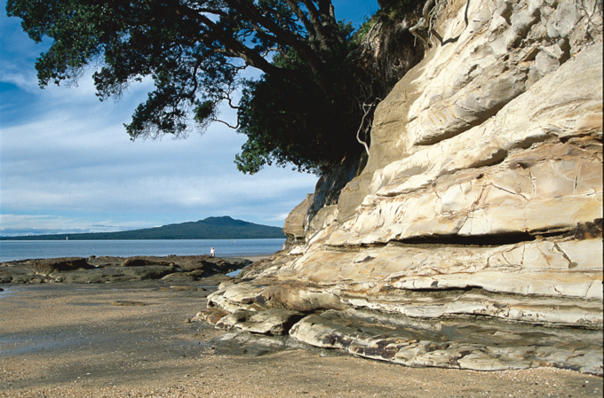 North Auckland Story Image