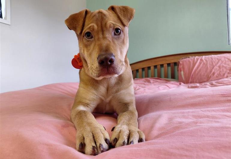 28F4521a 3332 46Ed A982 454C7cdbc734