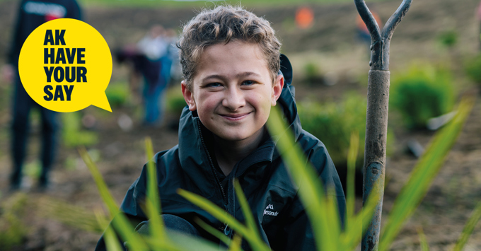 Local Board Plan consultation open