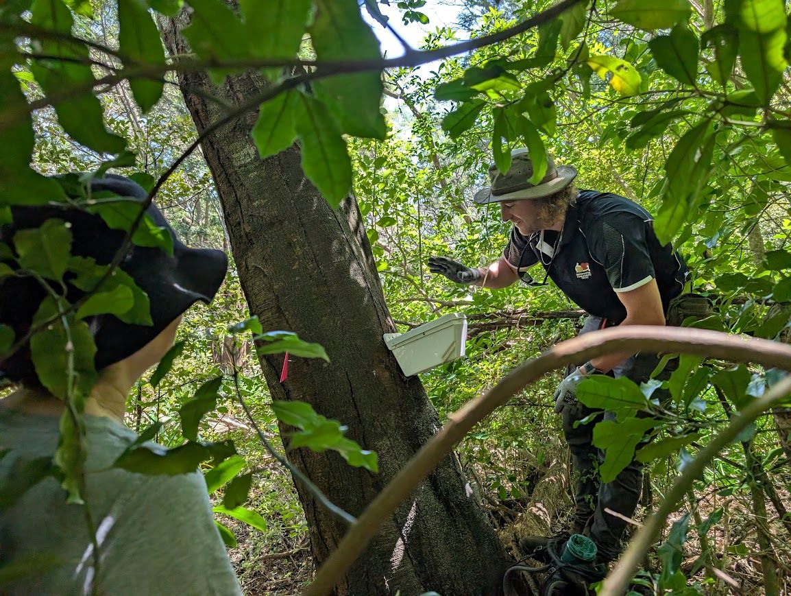 Volunteers in the bush. 