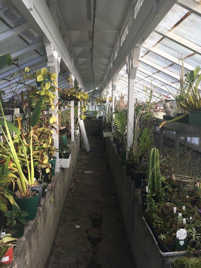 Wintergarden nursery (2)