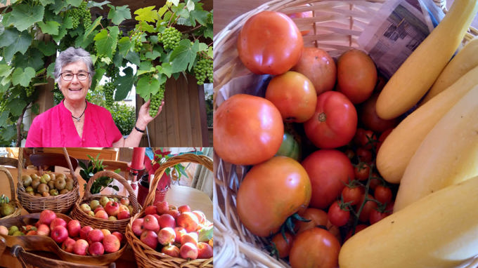 Matakana Greenswappers