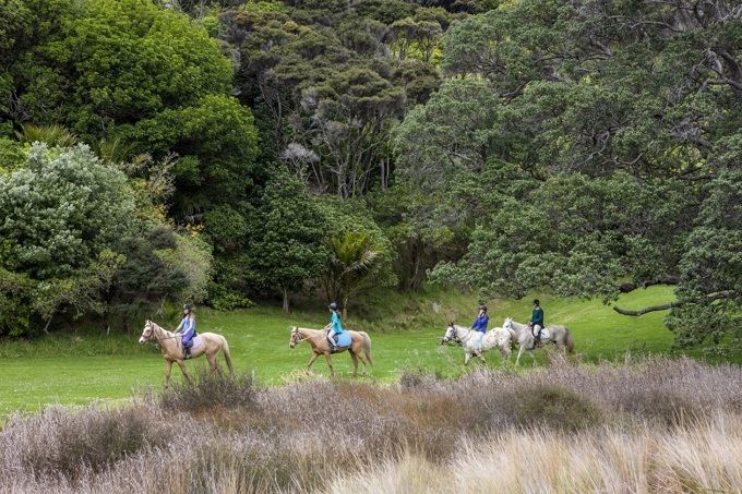 Horsing around in regional parks brings responsibilities