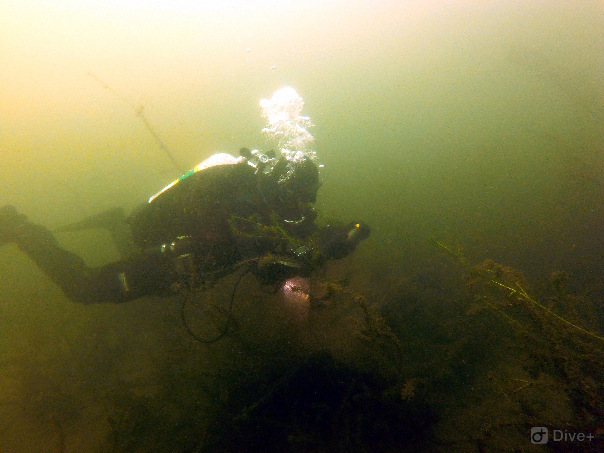 Restoring Lake Pupuke a high priority OurAuckland