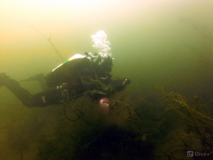 Restoring Lake Pupuke a high priority OurAuckland