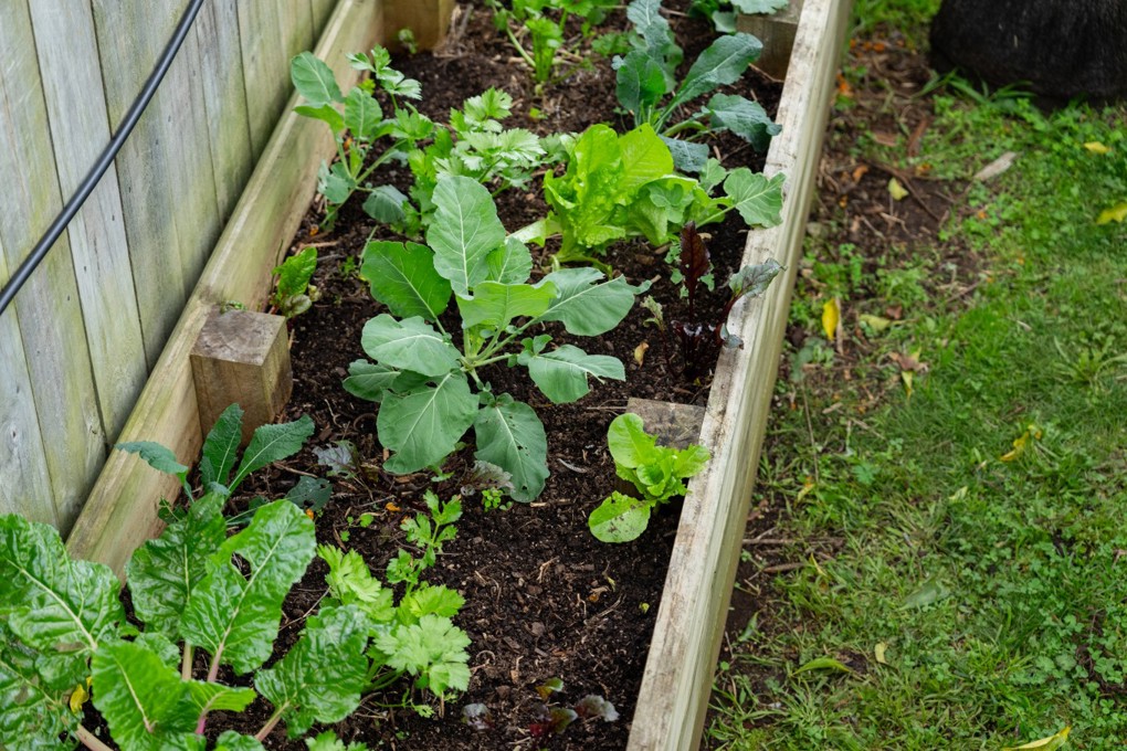 Micro Garden Image 1