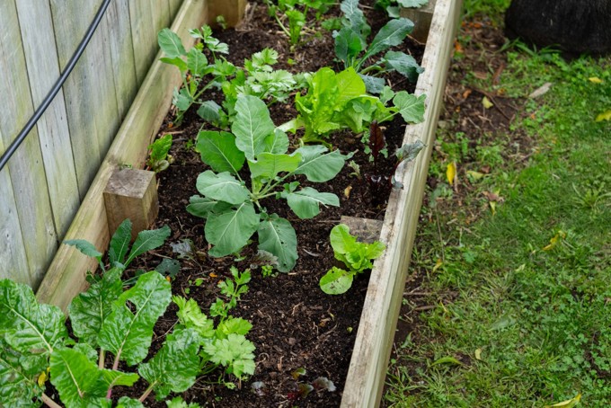 Micro Garden Image 1