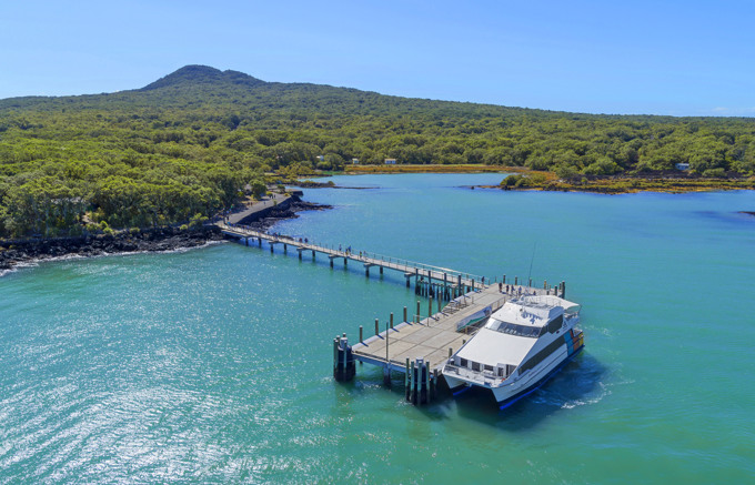 Stowaway caught trying to hitch a ride on Rangitoto ferry