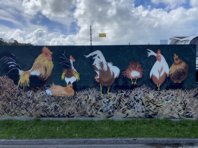 Cock-a-doodle-doo for the Kell Park mural