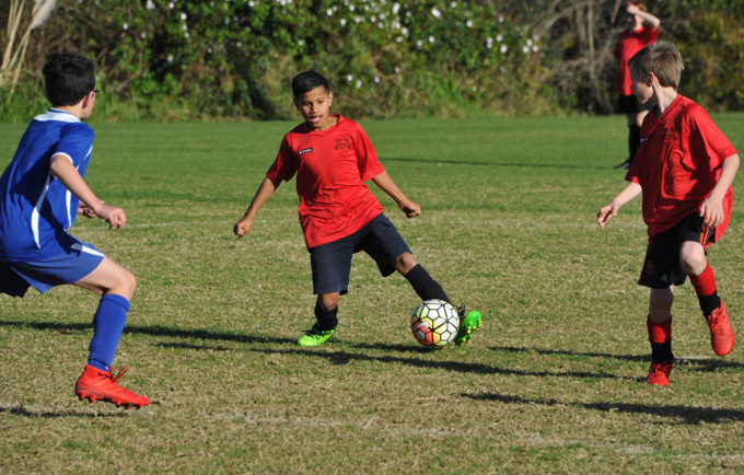 Caribbean Drive Sports Fields Update