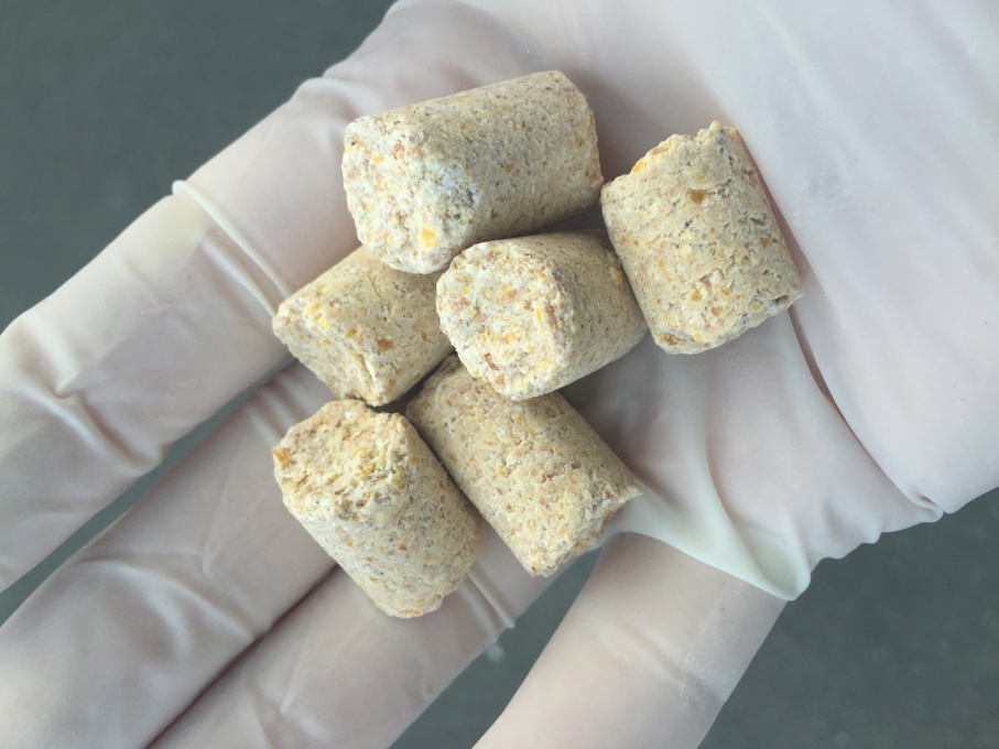 Non-toxic pre-feed bait