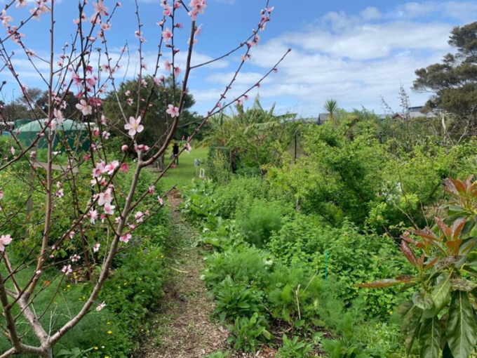 Engine Bay Garden Welcome Day_fi3omlgl.png