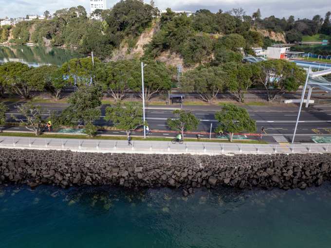 Tamaki Drive Hero Image