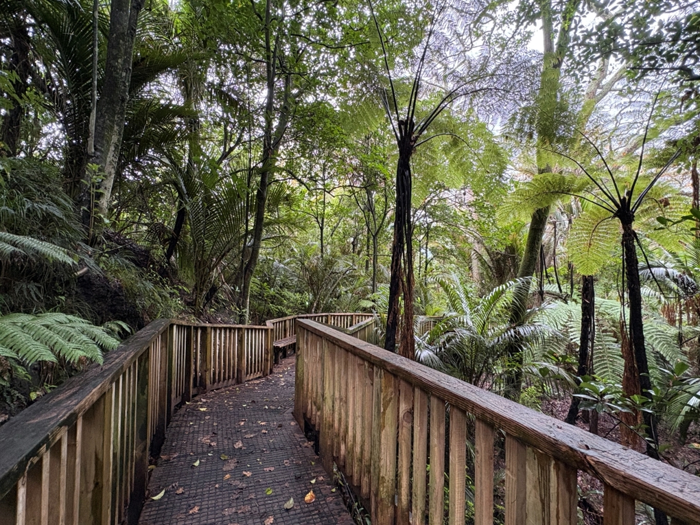Auckland Domain Lovers Walk