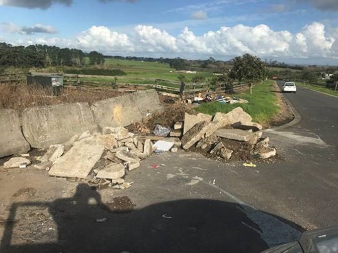 Mayor Phil Goff welcomes illegal dumping prosecution (2)