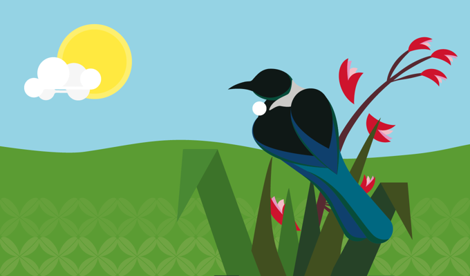 Our Auckland picture_mrdqxqmt.png