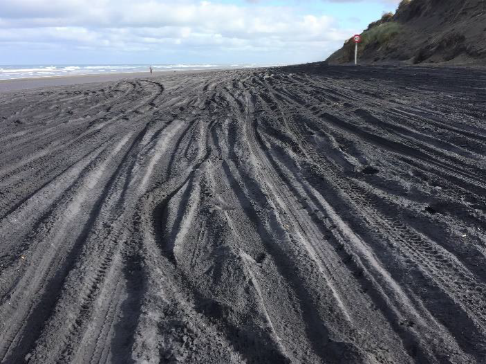 Vehicle tracks across Muriwai beach.