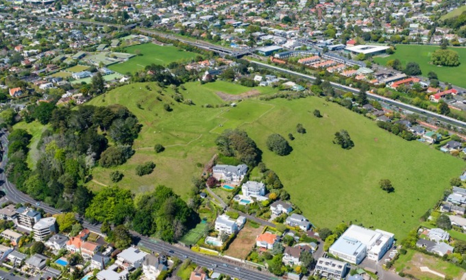 Dutch Elm Disease found at Ōhinerau / Mt Hobson