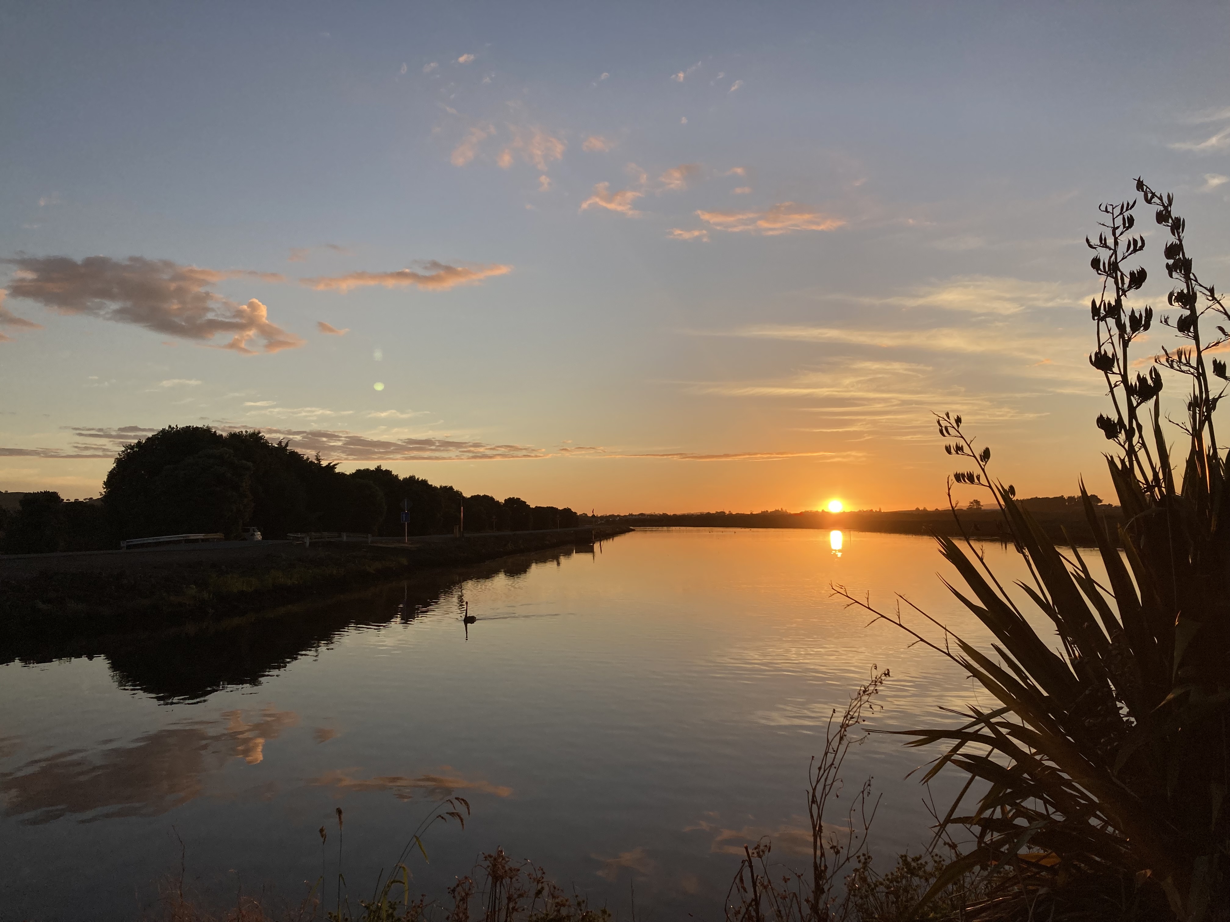 Left untreated, midges can transform a tranquil spot into an insect-infected nightmare.