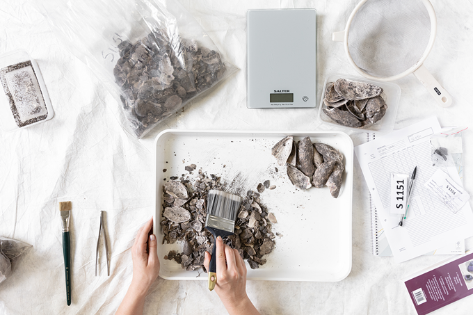 AM_Archaeology Family Day_dpxoztln.png